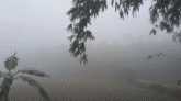 শ্রীমঙ্গলে সর্বনিম্ন তাপমাত্রা ৮.১ ডিগ্রি