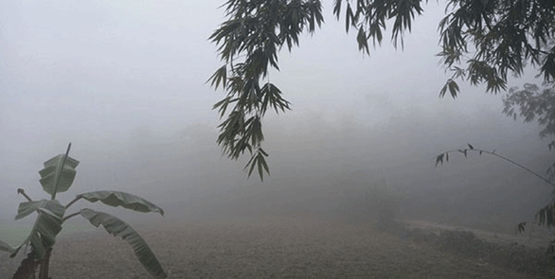 শ্রীমঙ্গলে সর্বনিম্ন তাপমাত্রা ৮.১ ডিগ্রি