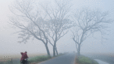 শীত আরও কমবে, সর্বনিম্ন তাপমাত্রা শ্রীমঙ্গলে
