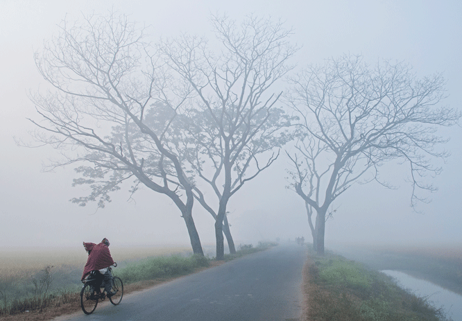 শীত আরও কমবে, সর্বনিম্ন তাপমাত্রা শ্রীমঙ্গলে