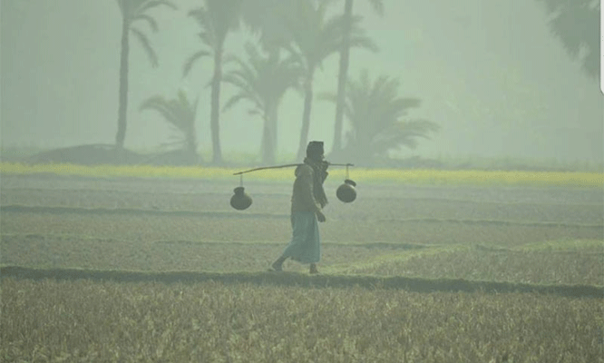 শ্রীমঙ্গলসহ ৭ অঞ্চলে শৈত্যপ্রবাহ