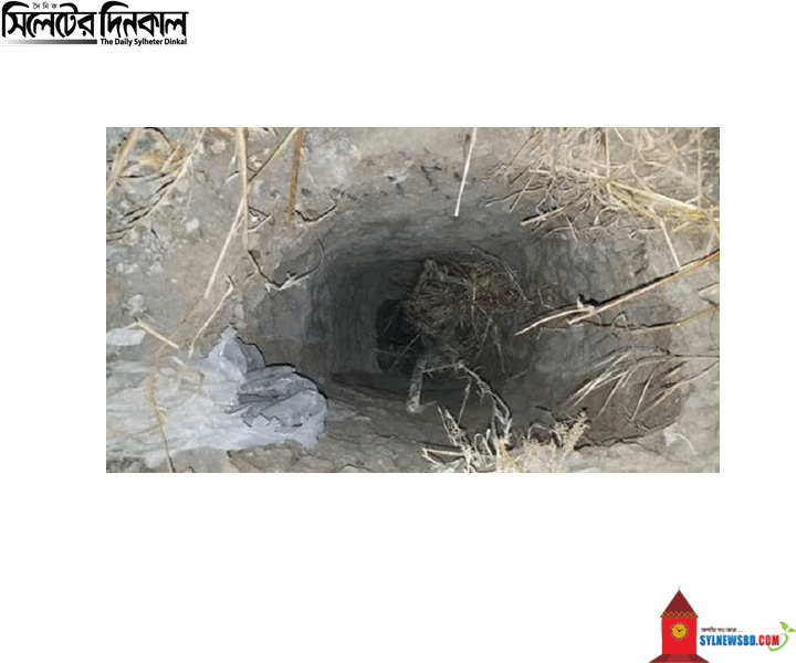 ভারত-বাংলাদেশ সীমান্তে ২০০ মিটার লম্বা সুড়ঙ্গের সন্ধান