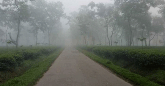 শ্রীমঙ্গলে শৈত্যপ্রবাহ অব্যাহত থাকবে