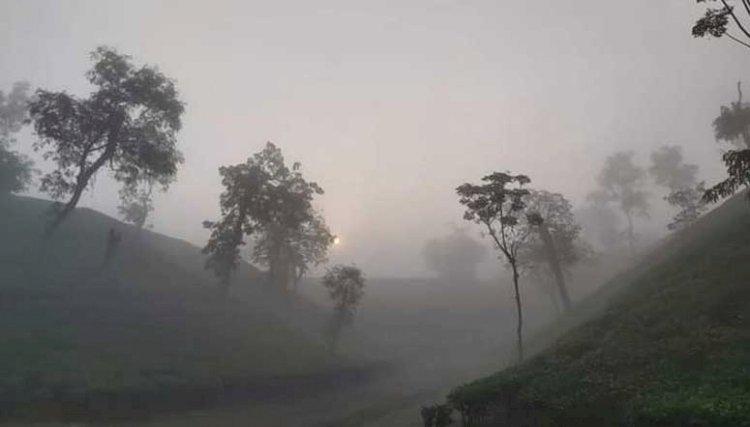 শ্রীমঙ্গলে দেশের সর্বনিম্ন তাপমাত্রা রেকর্ড: জনজীবন স্থবির