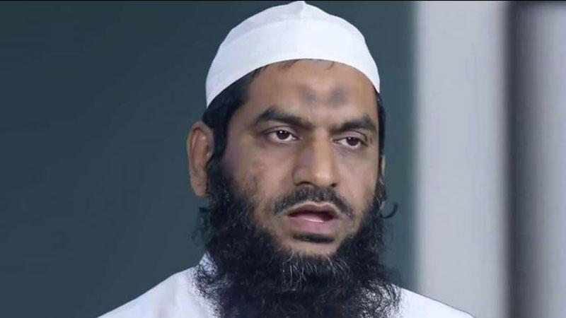 ক্ষমা চাইলেন মামুনুল হক