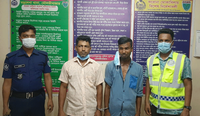 বড়লেখায় ১১৩ পিস ইয়াবাসহ আটক ২