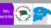 সিলেট-৩ আসন: জেলা সভাপতির মুখে প্রার্থীর নাম ঘোষনায় আওয়ামীলীগে মিশ্র প্রতিক্রিয়া