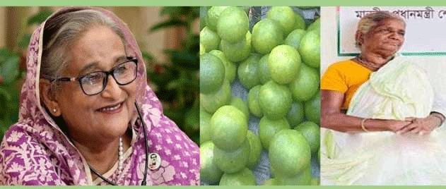 শেখ হাসিনাকে সিলেটের সাতকরার তরকারি খাওয়াতে চান শিলা