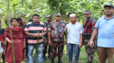 বড়লেখায় উদ্ধার খাসিয়াদের দখল হওয়া পানের জুম