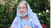 প্রবাসীরা দেশকে দিয়েছে, এখন দেশ তাদের দেবে: প্রধানমন্ত্রী