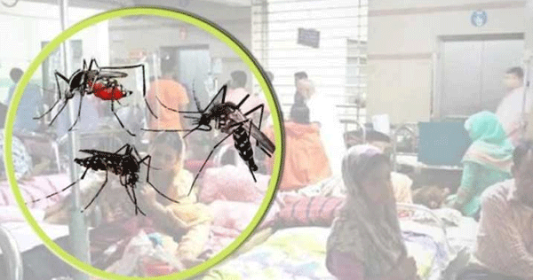 এক দিনে আরও ২১০ জন ডেঙ্গি রোগী শনাক্ত