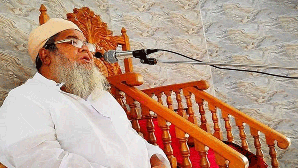হেফাজত আমির বাবুনগরীর বর্ণাঢ্য জীবন