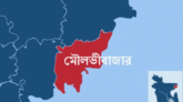 মৌলভীবাজারে ভাইয়ের লাঠির আঘাতে ভাই নিহত