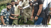 পরিবেশের ভারসাম্য রক্ষায় বেশী করে গাছ লাগান :মস্তাক আহমদ পলাশ