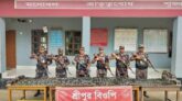 বিজিবির অভিযানে ১৬ টি ভারতীয় মহিষ ও বিপুল পরিমাণ ভারতীয় মালামাল আটক