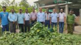 যুবকরা এগিয়ে আসছেন, কৃষির জন্য আর্শিবাদ -ড. মোঃ নাজিম উদ্দীন