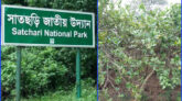 সাতছড়িতে ১৫ জনের সিন্ডিকেটে অবৈধ লেবু চাষ