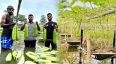 কোম্পানীগঞ্জে জলাবদ্ধ পতিত জমিতে ডালি পদ্ধতির সবজি চাষে নাবিল হাসানের নতুন চমক